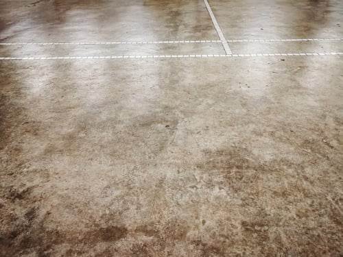 Floor Care & Maintenance